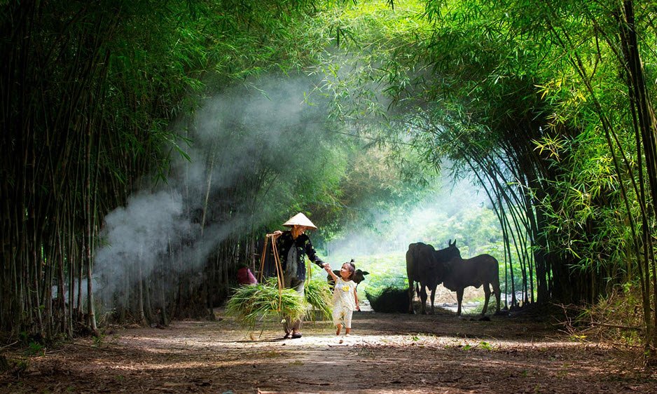 buoi tre he lang que viet nam - Tả buổi trưa hè ở làng quê Việt Nam hay nhất ngắn gọn 3 bài văn mẫu