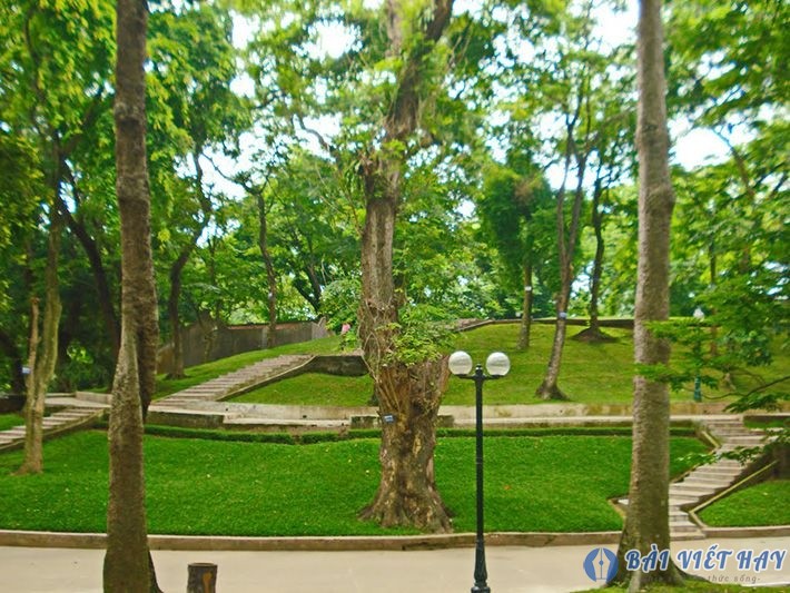 top 10 bai van mau ta canh cong vien dat diem cao moi nhat 4 - Top 10 bài văn mẫu tả cảnh công viên đạt điểm cao mới nhất