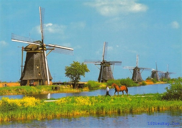top 10 dia diem du lich dep noi tieng nhat o ha lan 4 - Top 10 địa điểm du lịch đẹp nổi tiếng nhất ở Hà Lan