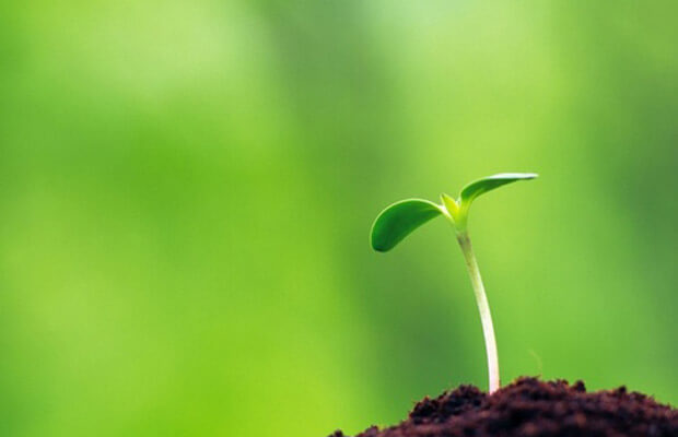 10 quy luat cuoc song - Giải thích và chứng minh câu tục ngữ “Ăn quả nhớ kẻ trồng cây”